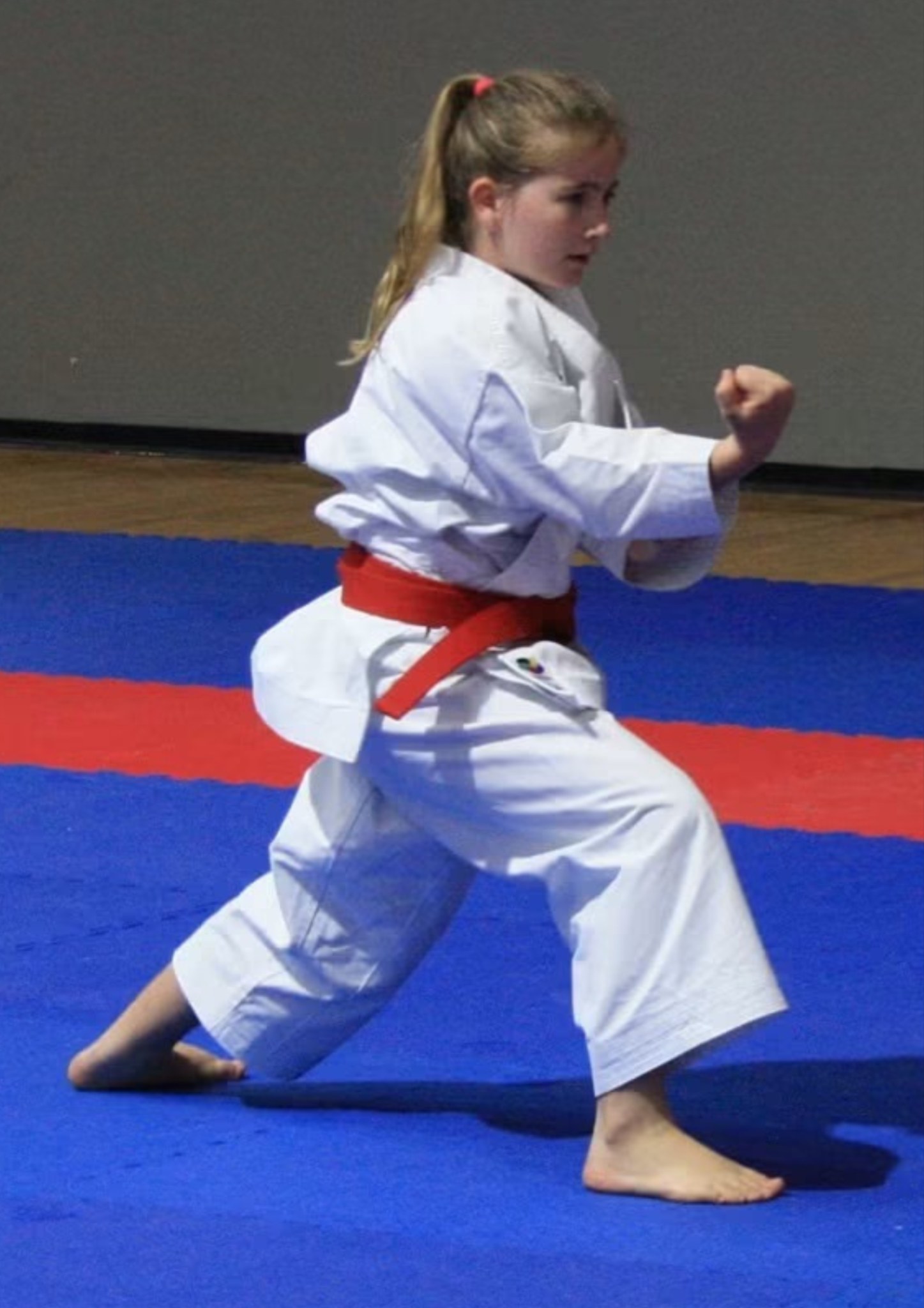 Karate Development